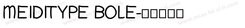 MEIDITYPE BOLE字体转换